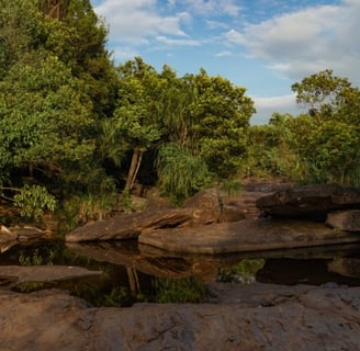 Phu Quoc national park