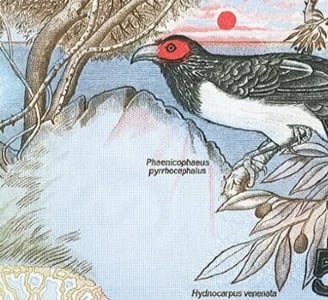 Ceylon Banknote 1979 Bird Series 50 Rupees