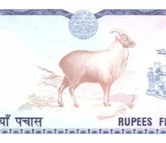 Nepal Banknote 50 Rupee Animal Tahr