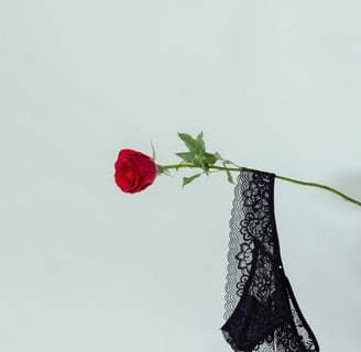 a red rose in a vase with a black lace bra - bra - bra -