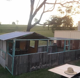 Full-service handyman in Port Macquarie for property maintenance