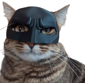 a cat in a batman mask mask