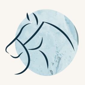 tête de cheval avec un filet