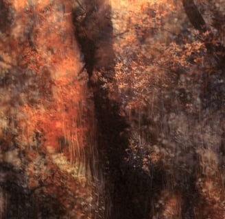 Abstract impression of trees in warm autumn tones, ethereal landscape photography by Martin Osner.