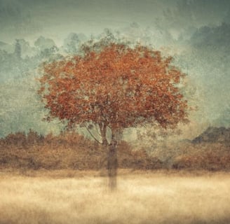 Single tree with orange leaves in misty hills, ethereal landscape photography artwork.