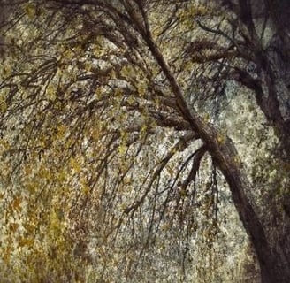 Ethereal art tree photograph by Martin Osner featuring layered textures and autumn leaves in warm golden light.