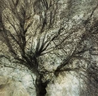 Ethereal abstract tree artwork by Martin Osner from the Eminence series, showcasing layered natural textures and light.