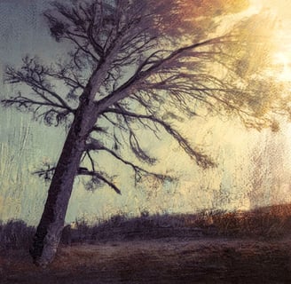 Textured painting by Martin Osner of a lone tree leaning against a soft sky with warm light and subtle earthy tones.