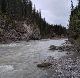 Near the headwaters of the North Saskatchewan River