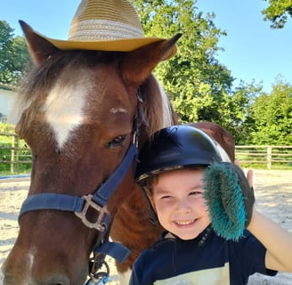 Enfant panse un cheval et est heureux