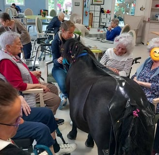 Groupe de personnes âgées dans un ephad autour d'un cheval noir