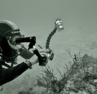 Shawn Murphy in his early days with the canon S10 shooting a ghost pipe fish