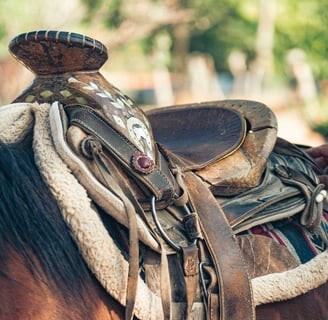 western saddle on a horse