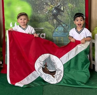 Bandeira de Ubajara