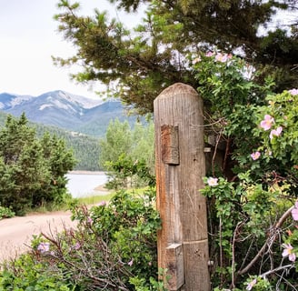 Photo by author, Glacier National Park
