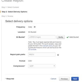 AWS Report Options