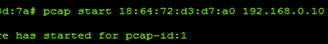 Packet capture start output
