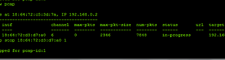 "pcap stop" command output