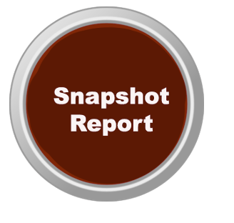 Snapshot Report