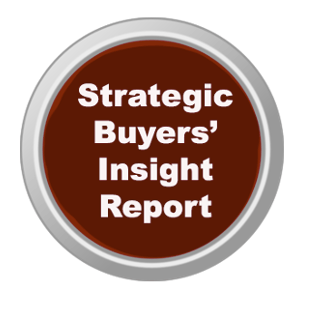 Strategic Buyers Insight Report