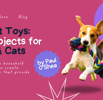 DIY Pet Toys, fun projects for dogs and cats, Fido's Pet Sitters Lynnwood pet sitters