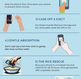 How to save your wet phone infographic