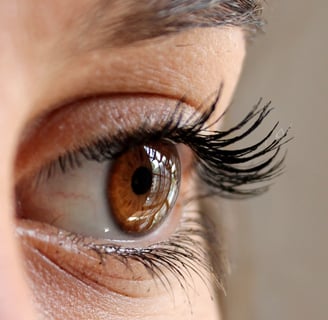 a brown color eye of a girl