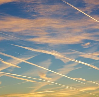 Scie Chimiche