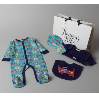 Organic cotton Bonjour bebe 6 piece sleepsuit, bodysuit, hat, mittens, bib and gift bag gift set