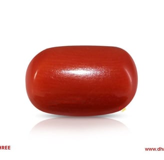 Red Coral Stone