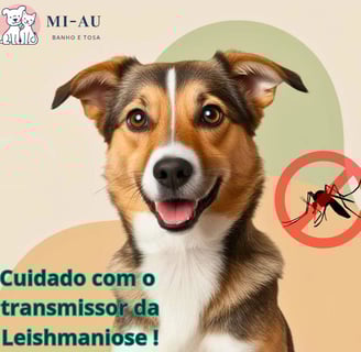 o que é a leishmaniose