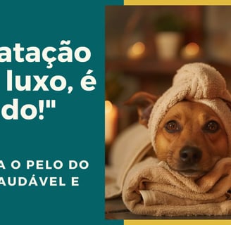 A importância da hidratação