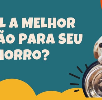 Melhor ração para cachorro