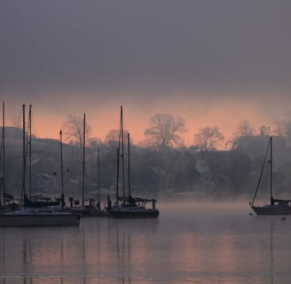 a group of sailboats in the water