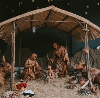 a nativity scene of a nativity of jesus and the animals