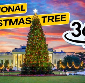 Image showing 360 view of National Christmas Tree display