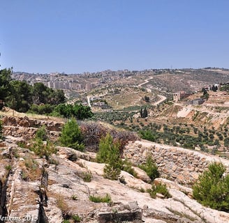 Shepherd's Fields today