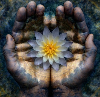 a person holding a flower in their hands