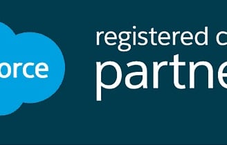 Salesforce Consulting Partner
