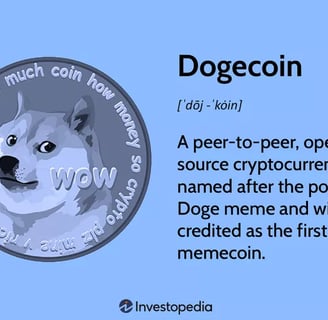Intro of doge coin