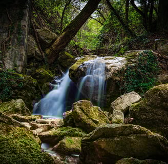 foto fine art natureza