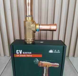 Check valve, katup satu arah - Hongsen