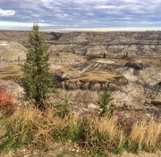 Horseshoe Canyon