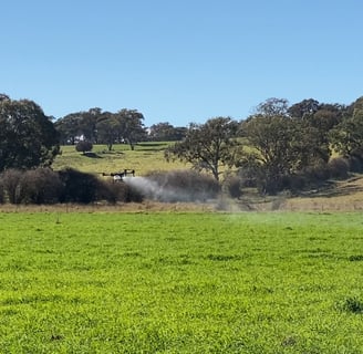 Drone Crop Spraying - Drone Spraying