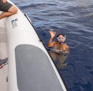 Swimming with dolphins in Madeira