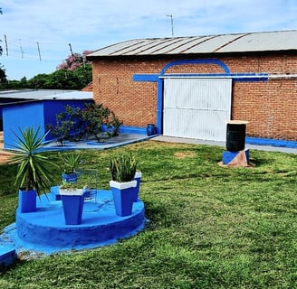 Clínica Novos Rumos - jardim