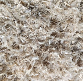 a person holding a piece of duck feather