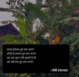 A scenic background with green banana trees and a Hindi poem by Jaitry about longing in love.