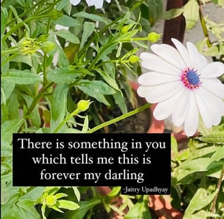 A close-up of a blooming white flower with an English quote by Jaitry about love and forever.