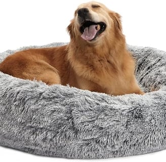 a dog is sitting in a dog bed